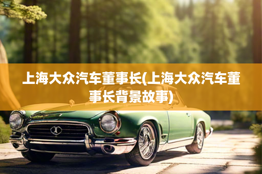 上海大众汽车董事长(上海大众汽车董事长背景故事)