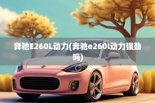 奔驰E260L动力(奔驰e260l动力强劲吗)