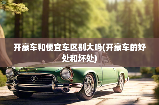 开豪车和便宜车区别大吗(开豪车的好处和坏处)