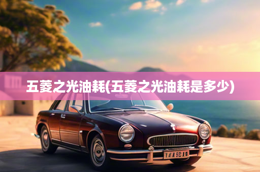 五菱之光油耗(五菱之光油耗是多少)