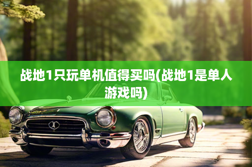 战地1只玩单机值得买吗(战地1是单人游戏吗)