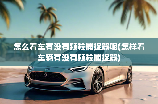 怎么看车有没有颗粒捕捉器呢(怎样看车辆有没有颗粒捕捉器)