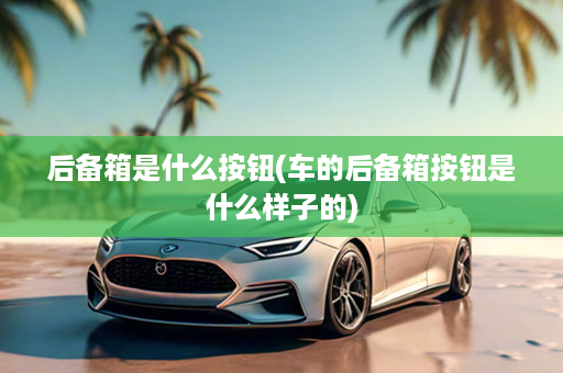 后备箱是什么按钮(车的后备箱按钮是什么样子的)