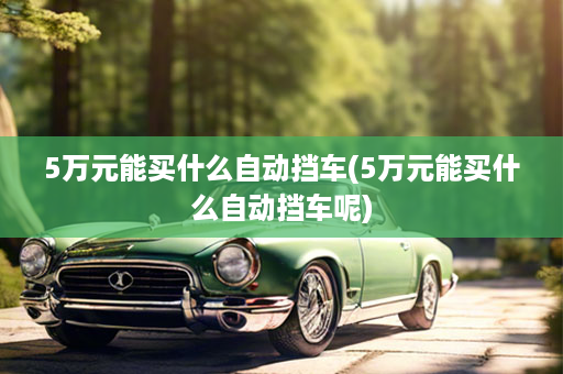 5万元能买什么自动挡车(5万元能买什么自动挡车呢)