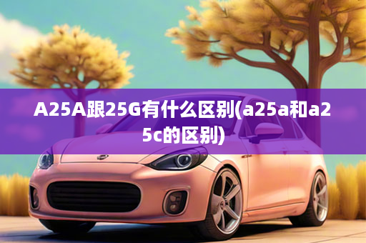 A25A跟25G有什么区别(a25a和a25c的区别)