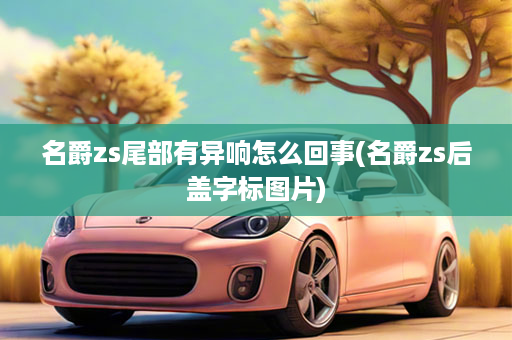 名爵zs尾部有异响怎么回事(名爵zs后盖字标图片)