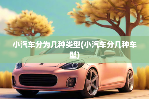 小汽车分为几种类型(小汽车分几种车型)