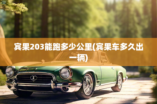 宾果203能跑多少公里(宾果车多久出一辆)