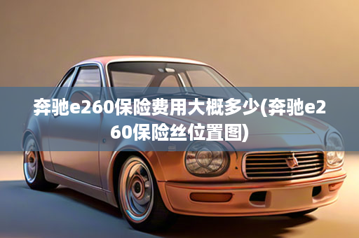 奔驰e260保险费用大概多少(奔驰e260保险丝位置图)