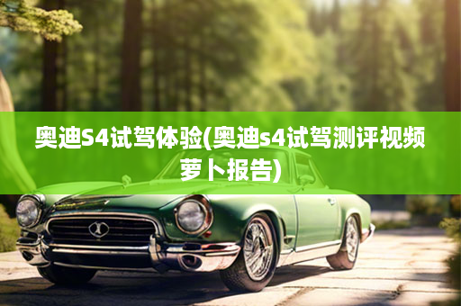 奥迪S4试驾体验(奥迪s4试驾测评视频萝卜报告)