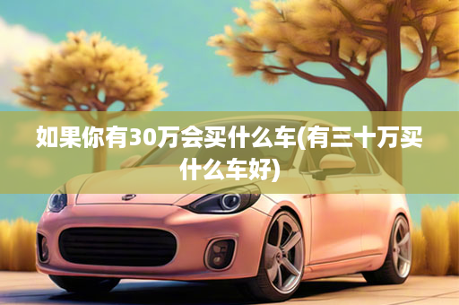 如果你有30万会买什么车(有三十万买什么车好)