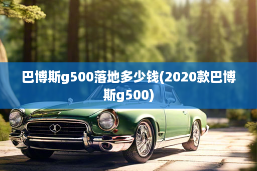 巴博斯g500落地多少钱(2020款巴博斯g500)