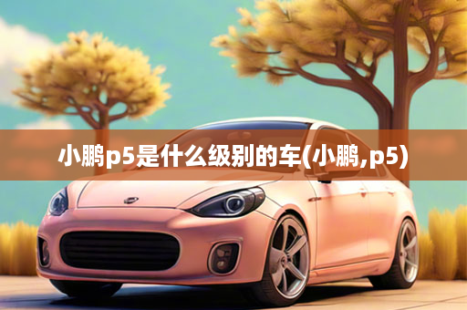 小鹏p5是什么级别的车(小鹏,p5)