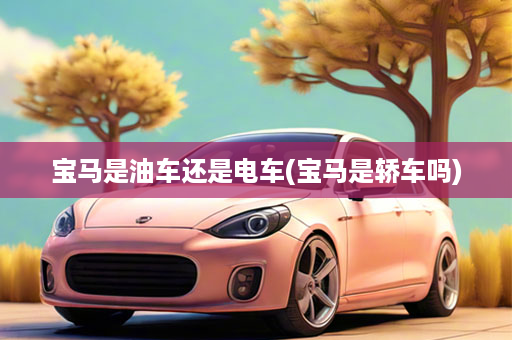 宝马是油车还是电车(宝马是轿车吗)