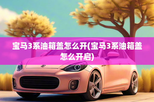 宝马3系油箱盖怎么开(宝马3系油箱盖怎么开启)
