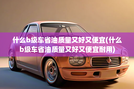什么b级车省油质量又好又便宜(什么b级车省油质量又好又便宜耐用)