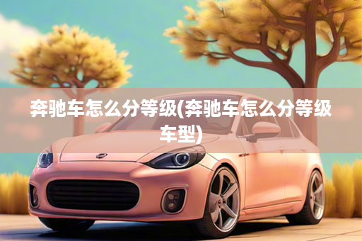 奔驰车怎么分等级(奔驰车怎么分等级车型)