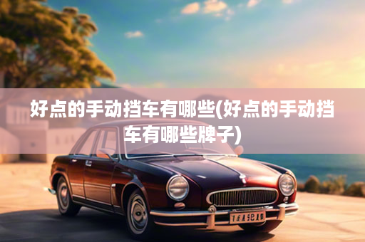 好点的手动挡车有哪些(好点的手动挡车有哪些牌子)