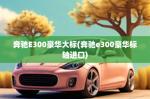 奔驰E300豪华大标(奔驰e300豪华标轴进口)