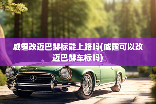 威霆改迈巴赫标能上路吗(威霆可以改迈巴赫车标吗)
