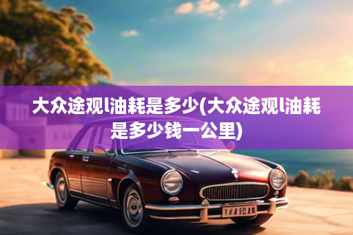 大众途观l油耗是多少(大众途观l油耗是多少钱一公里)
