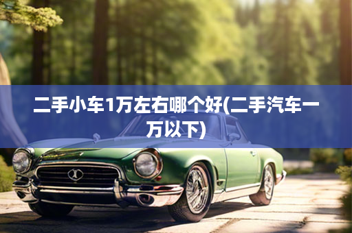 二手小车1万左右哪个好(二手汽车一万以下)