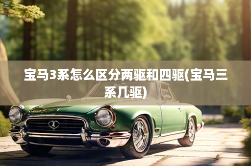 宝马3系怎么区分两驱和四驱(宝马三系几驱)