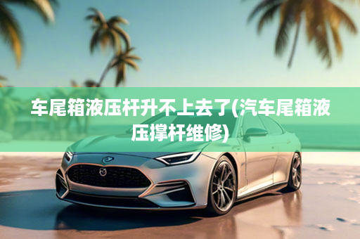 车尾箱液压杆升不上去了(汽车尾箱液压撑杆维修)