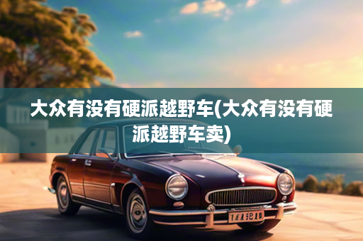 大众有没有硬派越野车(大众有没有硬派越野车卖)