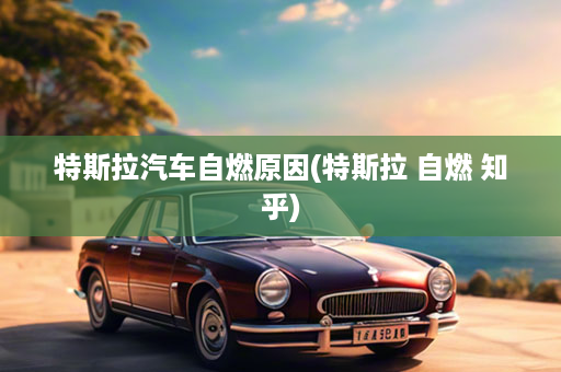 特斯拉汽车自燃原因(特斯拉 自燃 知乎)