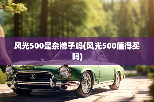 风光500是杂牌子吗(风光500值得买吗)