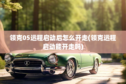 领克05远程启动后怎么开走(领克远程启动能开走吗)