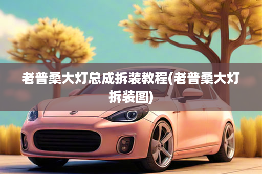 老普桑大灯总成拆装教程(老普桑大灯拆装图)