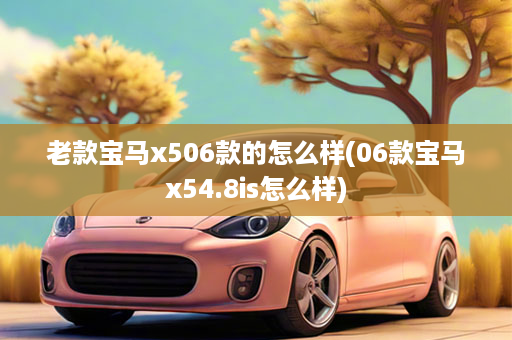 老款宝马x506款的怎么样(06款宝马x54.8is怎么样)