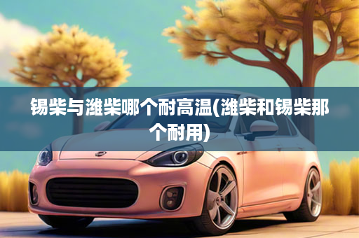 锡柴与潍柴哪个耐高温(潍柴和锡柴那个耐用)
