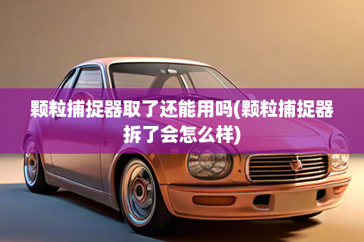 颗粒捕捉器取了还能用吗(颗粒捕捉器拆了会怎么样)