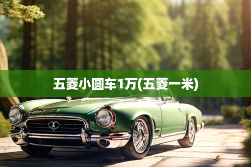 五菱小圆车1万(五菱一米)
