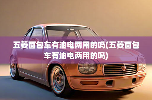 五菱面包车有油电两用的吗(五菱面包车有油电两用的吗)
