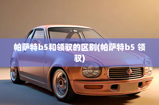 帕萨特b5和领驭的区别(帕萨特b5 领驭)