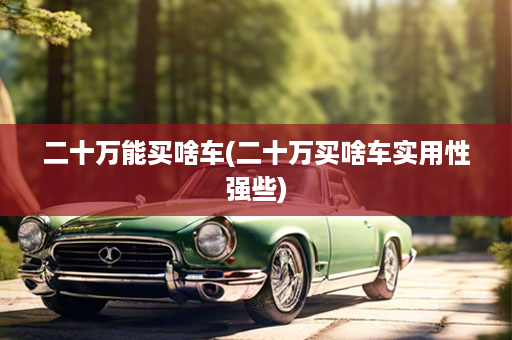 二十万能买啥车(二十万买啥车实用性强些)