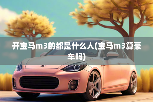 开宝马m3的都是什么人(宝马m3算豪车吗)
