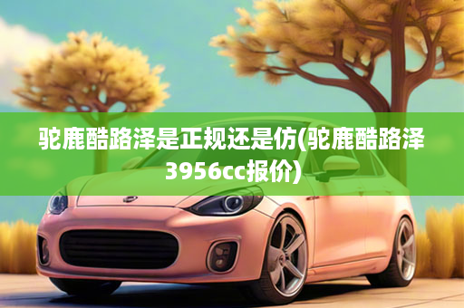 驼鹿酷路泽是正规还是仿(驼鹿酷路泽3956cc报价)
