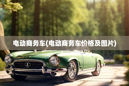 电动商务车(电动商务车价格及图片)