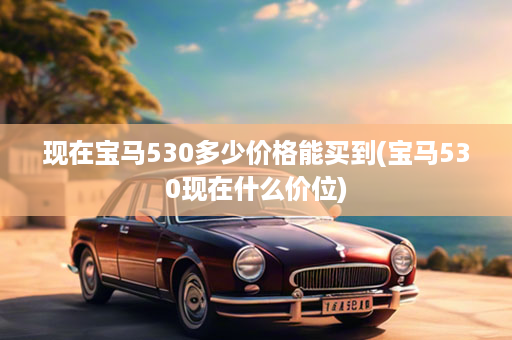 现在宝马530多少价格能买到(宝马530现在什么价位)