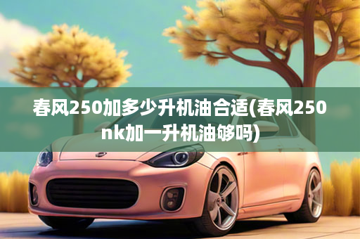 春风250加多少升机油合适(春风250nk加一升机油够吗)