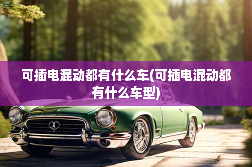 可插电混动都有什么车(可插电混动都有什么车型)