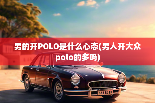 男的开POLO是什么心态(男人开大众polo的多吗)