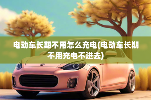 电动车长期不用怎么充电(电动车长期不用充电不进去)