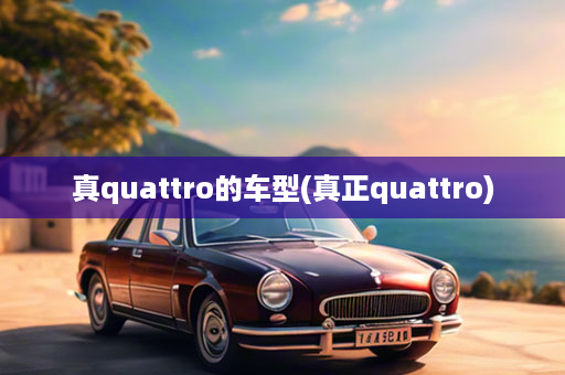 真quattro的车型(真正quattro)