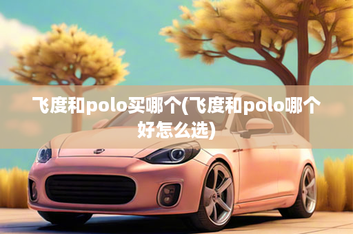 飞度和polo买哪个(飞度和polo哪个好怎么选)